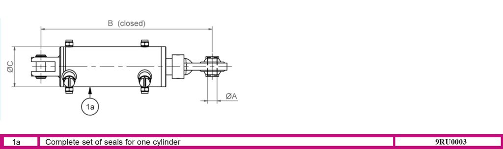 9RU0003_1.jpg