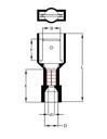 A255155_1.jpg