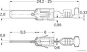 50251896_1.jpg