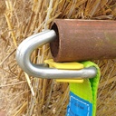 901687_4.jpg