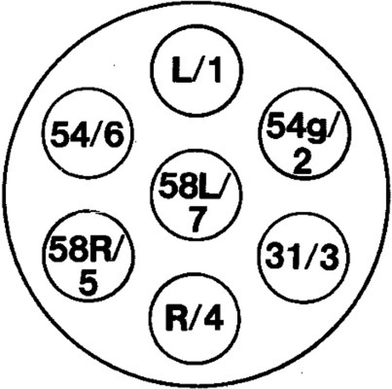 51305120_1.jpg