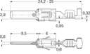 50251897_1.jpg