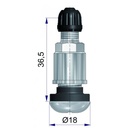607388-VPE_1.jpg