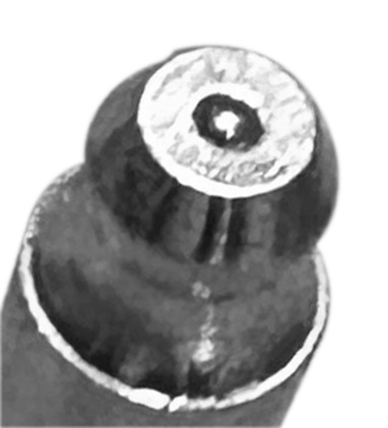 4018577_1.jpg