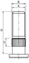 116298_1.jpg