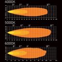 809255_1.jpg