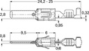 50251879_1.jpg