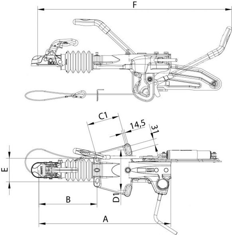 202507005_1.jpg