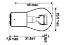 OS-7537_1.jpg