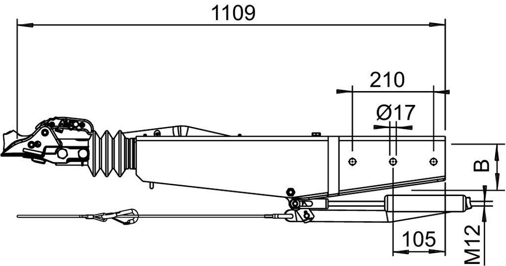 1251895_1.jpg