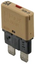 Sicherungsautomat (1) hellbraun 5A (ETA)  bis 32V