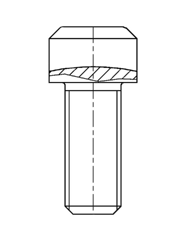 Vis pour BPW S3006-7 RASK